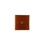 40x40x11mm Gold Heat Sink