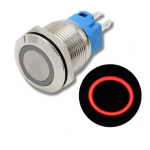 SS Switch IP67 22mm 12 to 24 Volts, Momentary, Red Ring Indicator (Flat Head)