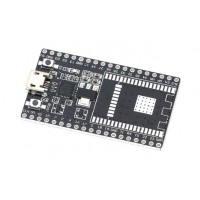 Black ESP32-DEVKITC Development Board Backboard Black ESP32-DEVKITC Development Board Backboard