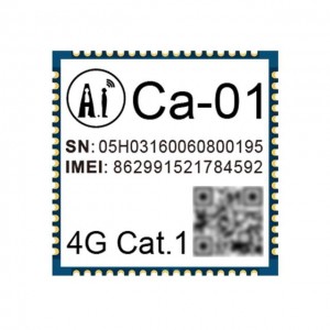 CA-01 V1 Cellular LTE Transceiver Module CA-01 V1 Cellular LTE Transceiver Module