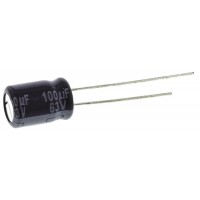 ECA1JAM101X Electrolytic Capacitor