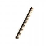 40X1 2.54mm Right Angle Male Berg Strip (Brass Tin)