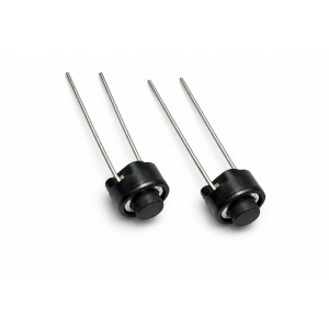 Micro Switch 2 Pin 2 NO Type
