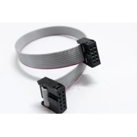 10 Pin 2.54mm FRC Cable Female To Female Connector 30CM