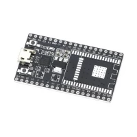 Black ESP32-DEVKITC Development Board Backboard Black ESP32-DEVKITC Development Board Backboard