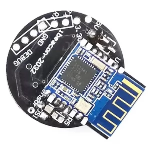IBEACON Watch IC Module